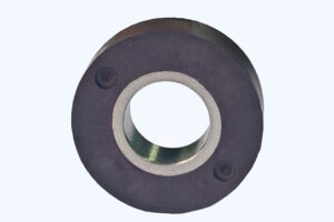 rotor magnet